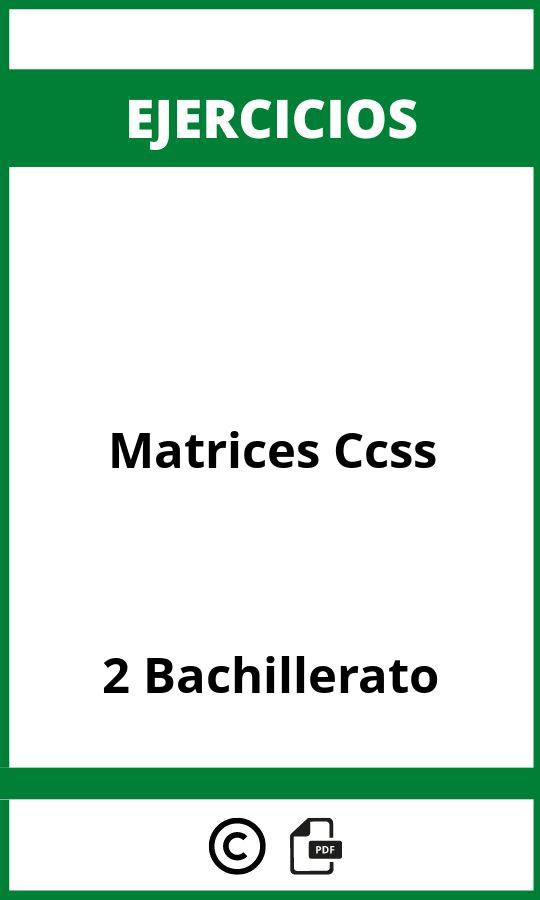 Ejercicios Matrices 2 Bachillerato Ccss PDF