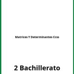 Ejercicios Matrices Y Determinantes 2 Bachillerato Ccss PDF