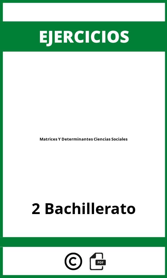 Ejercicios Matrices Y Determinantes 2 Bachillerato Ciencias Sociales PDF