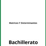 Ejercicios Matrices Y Determinantes  PDF Bachillerato