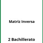 Ejercicios Matriz Inversa 2 Bachillerato PDF