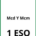 Ejercicios Mcd Y Mcm 1 ESO PDF