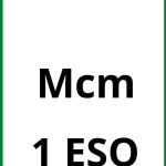 Ejercicios Mcm 1 ESO PDF