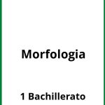 Ejercicios Morfologia 1 Bachillerato PDF