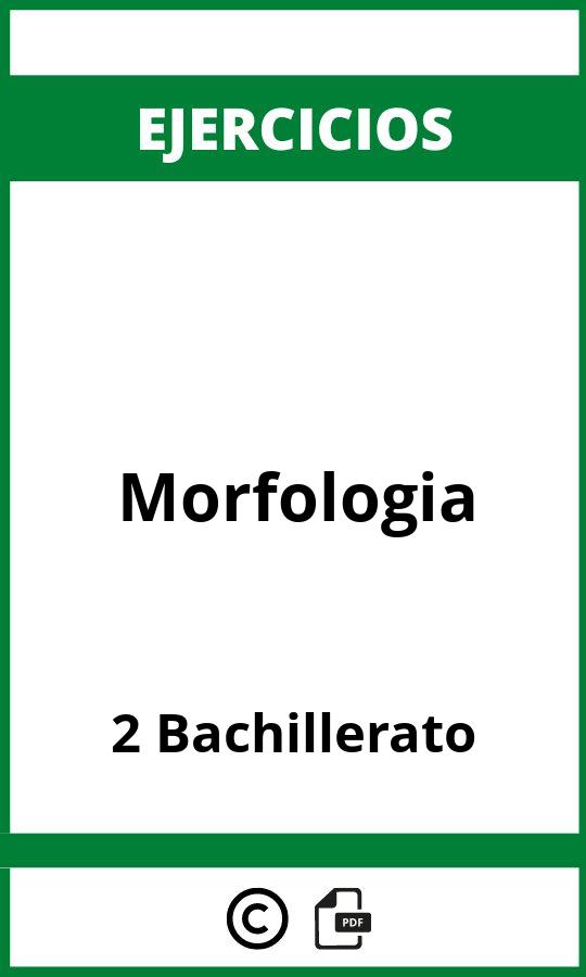 Ejercicios Morfologia 2 Bachillerato PDF