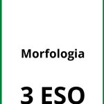 Ejercicios Morfologia 3 ESO PDF