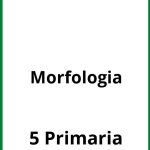 Ejercicios Morfologia 5 Primaria PDF