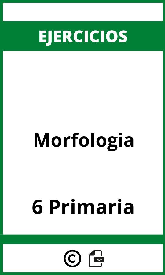 Ejercicios Morfologia 6 Primaria PDF