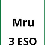 Ejercicios Mru 3 ESO PDF