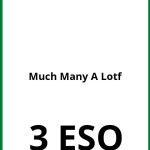 Ejercicios Much Many A Lot Of 3 ESO PDF