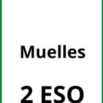 Ejercicios Muelles 2 ESO PDF