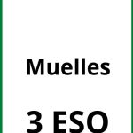 Ejercicios Muelles 3 ESO PDF