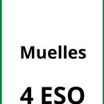 Ejercicios Muelles 4 ESO PDF