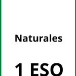 Ejercicios Naturales 1 ESO PDF