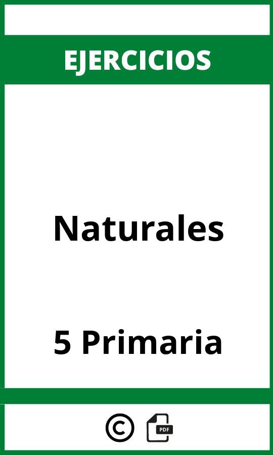 Ejercicios Naturales 5 Primaria PDF