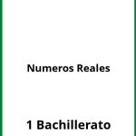 Ejercicios Numeros Reales 1 Bachillerato PDF