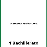 Ejercicios Numeros Reales 1 Bachillerato Ccss PDF