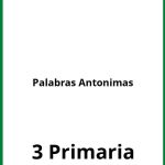 Ejercicios Palabras Antonimas 3 Primaria PDF