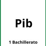 Ejercicios Pib 1 Bachillerato PDF