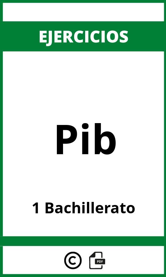 Ejercicios Pib 1 Bachillerato PDF