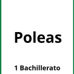 Ejercicios Poleas 1 Bachillerato PDF