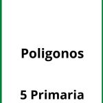 Ejercicios Poligonos 5 Primaria PDF