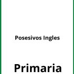 Ejercicios Posesivos Ingles Primaria PDF