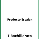 Ejercicios Producto Escalar 1 Bachillerato PDF