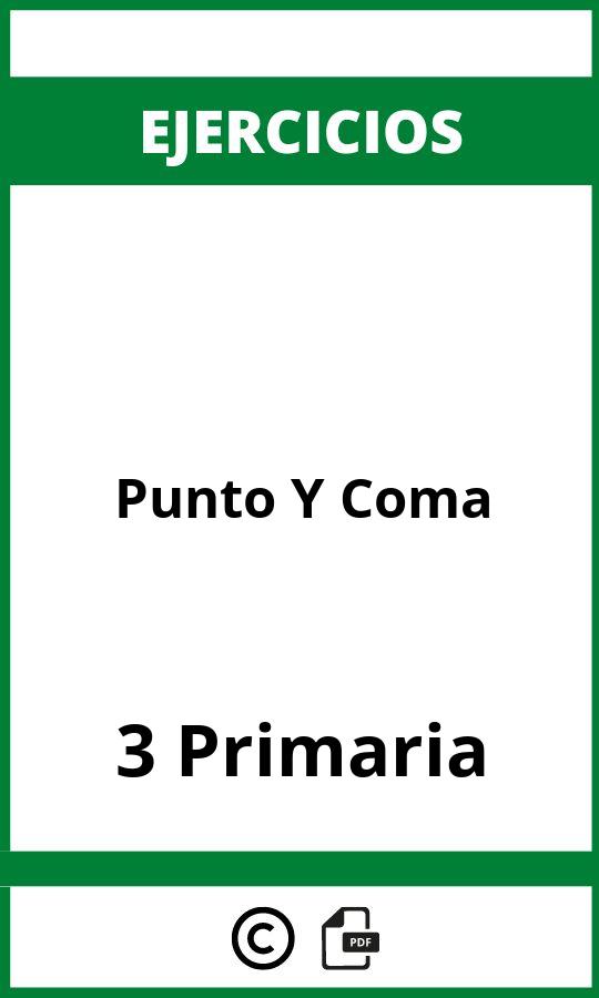 Ejercicios Punto Y Coma 3 Primaria PDF