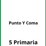 Ejercicios Punto Y Coma 5 Primaria PDF