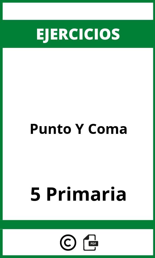 Ejercicios Punto Y Coma 5 Primaria PDF