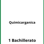 Ejercicios Quimica Organica 1 Bachillerato PDF