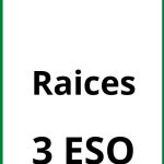 Ejercicios Raices 3 ESO PDF
