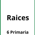 Ejercicios Raices 6 Primaria PDF
