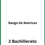 Ejercicios Rango De Matrices 2 Bachillerato PDF