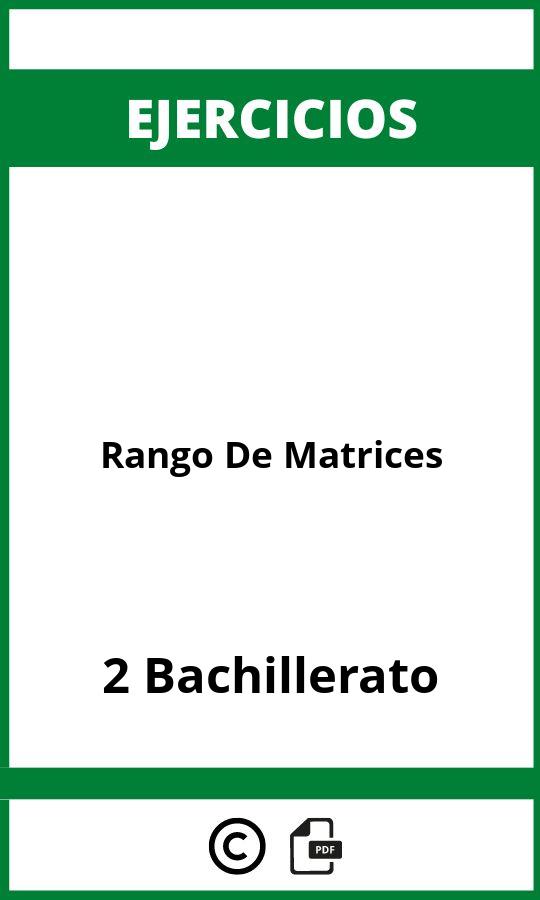 Ejercicios Rango De Matrices 2 Bachillerato PDF