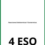 Ejercicios Reacciones Endotermicas Y Exotermicas 4 ESO PDF