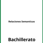 Ejercicios Relaciones Semanticas Bachillerato PDF