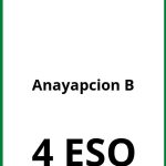 Ejercicios  Anaya 4 ESO Opcion B PDF