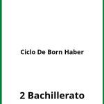 Ejercicios  Ciclo De Born Haber 2 Bachillerato PDF