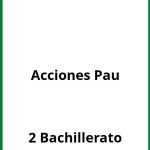 Ejercicios  De Acciones 2 Bachillerato Pau PDF
