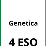 Ejercicios  Genetica 4 ESO PDF