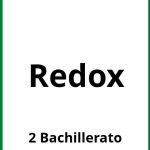 Ejercicios  Redox 2 Bachillerato PDF