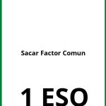 Ejercicios Sacar Factor Comun 1 ESO PDF