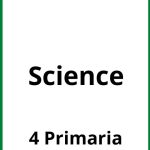 Ejercicios Science 4 Primaria PDF