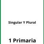 Ejercicios Singular Y Plural 1 Primaria PDF
