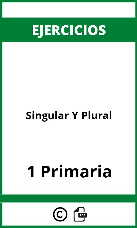 Ejercicios Singular Y Plural 1 Primaria PDF
