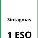 Ejercicios Sintagmas 1 ESO PDF