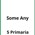 Ejercicios Some Any 5 Primaria PDF