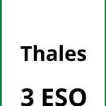 Ejercicios Thales 3 ESO PDF